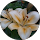 heide behrendt profile picture